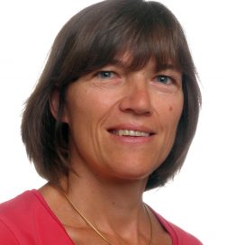 Prof. Sabine Van Huffel